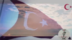 Vatanına Göz Dikeni Ez Oğlum Albüm Kapağı