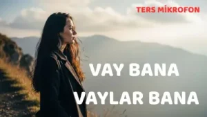 Vay Bana Vaylar Bana Hepimizin Dalıp Gittiği O Anlar Müzik Arabesk Türküler Albüm Kapağı