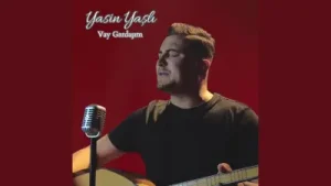 Vay Gardaşım Albüm Kapağı