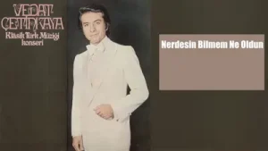 Vedat Çetinkaya Nerdesin Bilmem Ne Oldun Albüm Kapağı