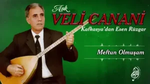 Veli Canani Meftun Olmuşam Albüm Kapağı