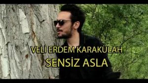 Veli Erdem Karakulah Sensiz Asla Albüm Kapağı