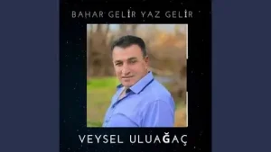 Veysel Uluağaç Şarkıları