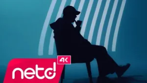 Vicearnold Terk Ettim Albüm Kapağı