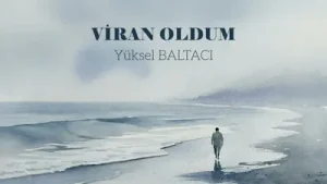 Vira Vira Nayino Yüksel Baltacı Albüm Kapağı