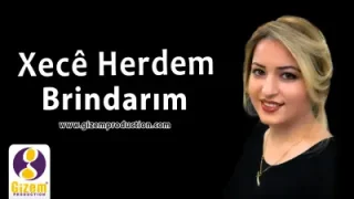 Xece Herdem Brindarım
