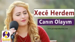 Xece Herdem Canın Olayım Albüm Kapağı