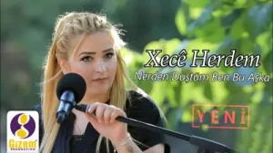 Xece Herdem Nerden Düştüm Ben Bu Aşkı Albüm Kapağı