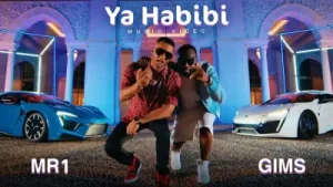 Ya Habibi Albüm Kapağı