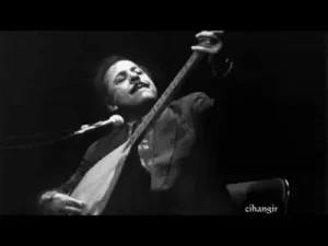Yaralı Ceylan Albüm Kapağı