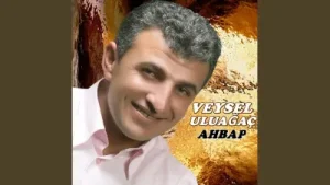 Yari Bana Çok Gördüler Albüm Kapağı
