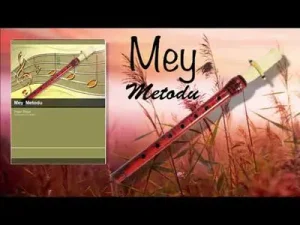 Yaşar Taner Mey Metodu