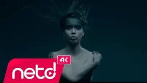 Yasemin Göksu Anla Albüm Kapağı