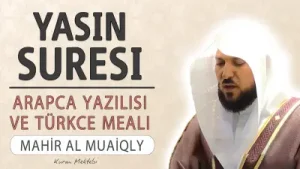 Yasin Suresi Albüm Kapağı