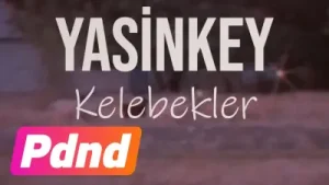 Yasinkey Kelebekler Albüm Kapağı