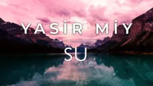 Yasir Miy Su Albüm Kapağı