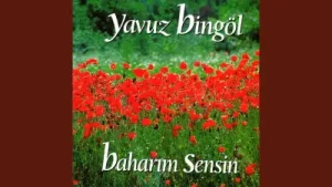 Yavuz Bingöl Gel Hele Albüm Kapağı