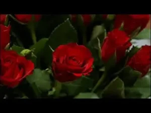 Yavuz Bingöl Kırmızı Gül Albüm Kapağı