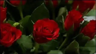 Yavuz Bingöl Kırmızı Gül