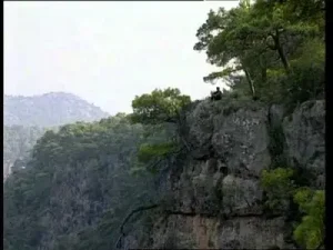 Yavuz Bingöl Yar Demedin
