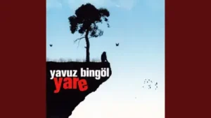 Yavuz Bingöl – Yeşil Başlı Gövel Ördek Albüm Kapağı