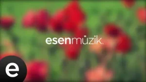 Yedi Karanfil Seven Cloves Kilim Official Audio Albüm Kapağı