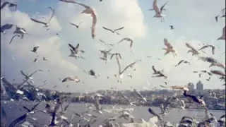 Yeni Türkü Sitem Enstrümantal