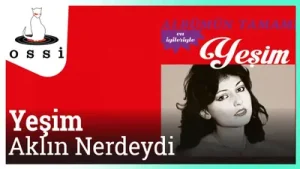 Yeşim Aklın Neredeydi Albüm Kapağı