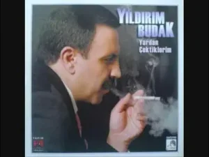 Yıldırım Budak Alageyik Wmv Albüm Kapağı