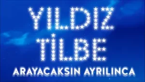 Yıldız Tilbe Arayacaksın Ayrılınca Albüm Kapağı