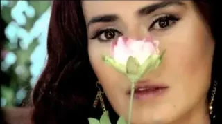 Yıldız Tilbe – Gül Zamanı