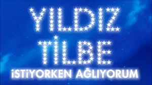 Yıldız Tilbe İstiyorken Ağlıyorum Albüm Kapağı