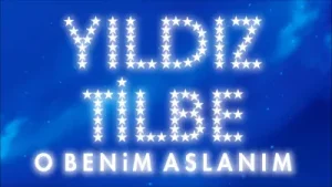 Yıldız Tilbe – O Benim Aslanım Albüm Kapağı
