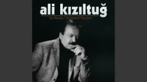 Yıllar Gizli Gizli Albüm Kapağı