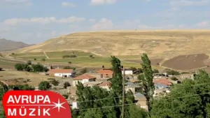 Yüksel Arı Bir Gömlek Diktirdim Albüm Kapağı
