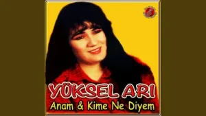 Yüksel Arı Kalenin Dibinde