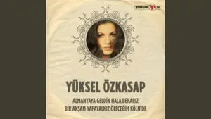 Yüksel Özkasap Almanyaya Geldik Hala Bekariz