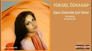 Yüksel Özkasap Dam Üstünde Çul Serer