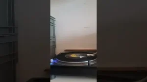 Yüksel Özkasap O Yana Döndür Sar Beni Albüm Kapağı