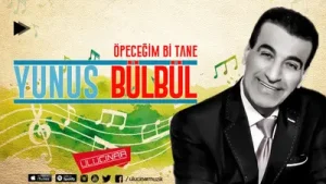 Yunus Bülbül Yerle Bir Oldum Albüm Kapağı