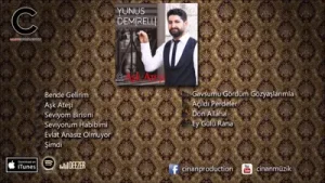 Yunus Demirelli Evlat Anasız Olmuyor Albüm Kapağı