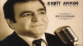 Zabit Akkoç Avaresin