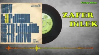 Zafer Dilek Sev Kardeşim