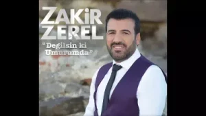 Zakir Zerel Ev Kiye Albüm Kapağı