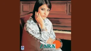 Zara Kalbi Kırık Serseri Albüm Kapağı