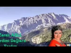 Zaralı Aslı Derdimi Dağlara Yazdım Albüm Kapağı