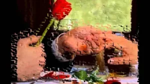 Zeki Erdem Kırkından Sonra Aşık Olmak Albüm Kapağı