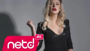 Zerrin Diker Gidiyorum Albüm Kapağı