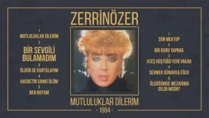 Zerrin Özer Bir Sevgili Bulamadım Albüm Kapağı
