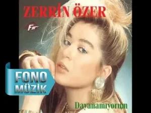 Zerrin Özer Bırak Ellerimi Albüm Kapağı